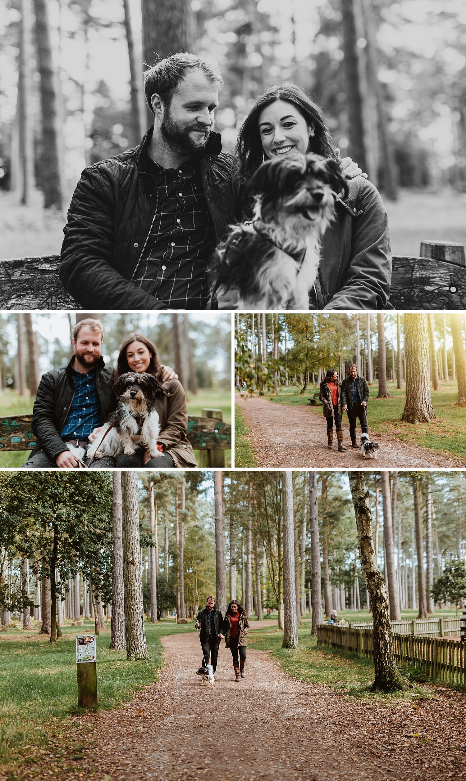Cannock Chase photoshoot - Staffordshire Photographer, wedding